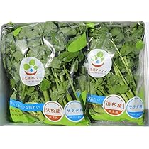 Amazon.co.jp: 新菜園 浜名湖クレソン 500g 静岡県産 : 食品・飲料・お酒